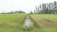 Flooded culvert in Wheatland raises questions of responsibility