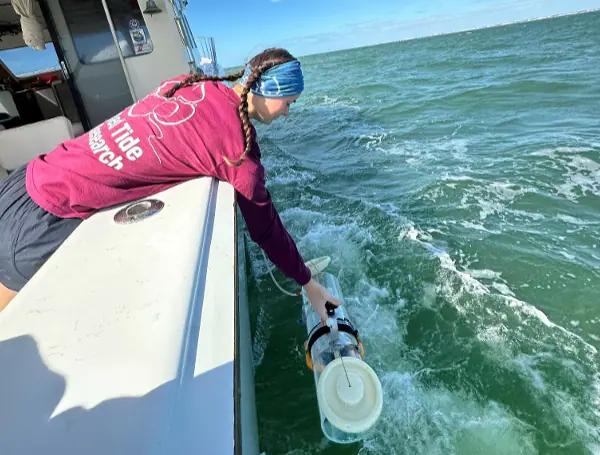 Florida's Gulf Coast Sees Red Tide Retreat; No Activity Reported
