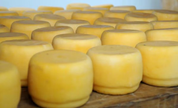Confirman un brote de listeriosis por el consumo de un queso contaminado