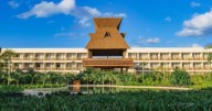 Plaga de escarabajo barrenador pone en riesgo un hotel de la Sedena en Tulum recién inaugurado