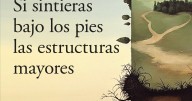 Libros: los favoritos, las novedades del mes, los recomendados de la semana