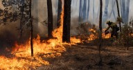 Spain wildfires LIVE: Foreign Office's new advice amid 'very high' fire threat