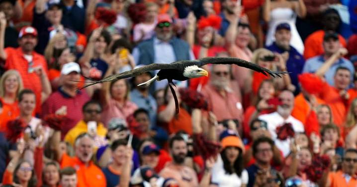 Auburn football to claim seven additional national titles, giving program nine total
