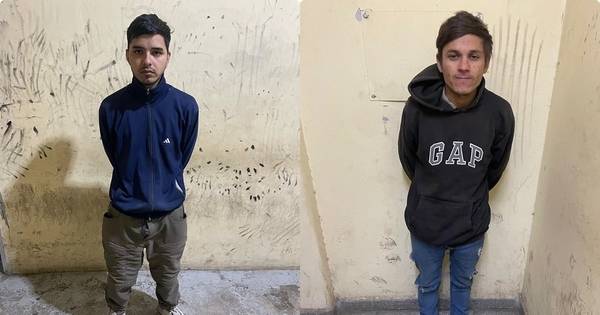 Robaron electrodomésticos de una mueblería de Capital y terminaron detenidos