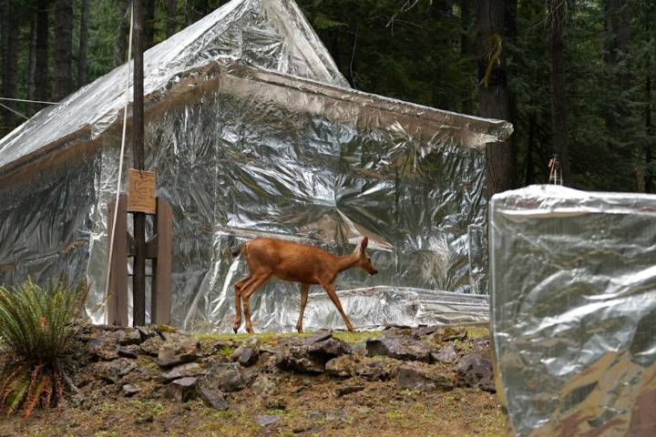 Smoke, sprinklers, aluminum foil: Fighting fire on the Olympic Peninsula