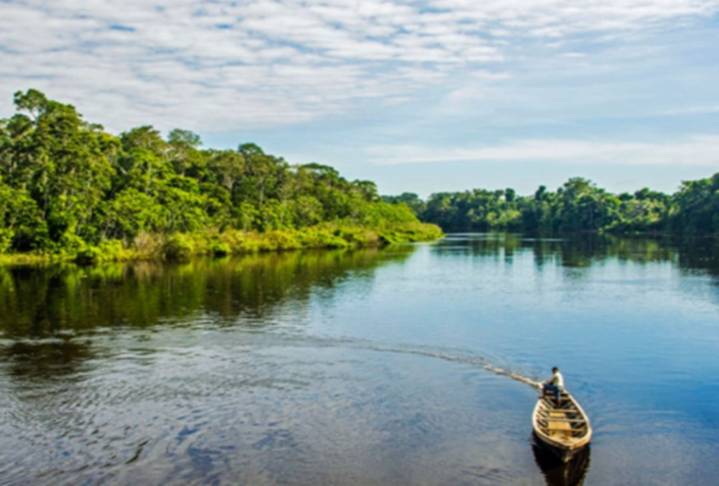 Minam presenta avances en gestión ambiental y protección de biodiversidad en Perú