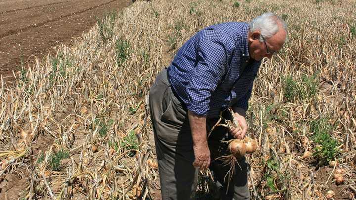 La Unió advierte un descenso del 14 por ciento en los perceptores valencianos de ayudas de la PAC