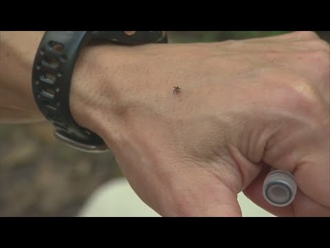 Climate change may be lengthening tick and mosquito seasons