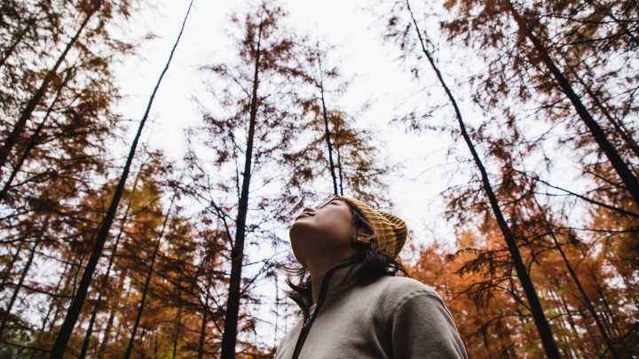 Rumor Has It Your Tree Leaves Might Be Able To Predict Winter Weather
