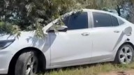 Dos cuerpos, 7 cartuchos de balla y un trapo en el tanque de nafta: el misterio de los dos cuerpos en un auto