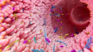 La microbiota intestinal puede ayudar a detectar precozmente el Alzheimer