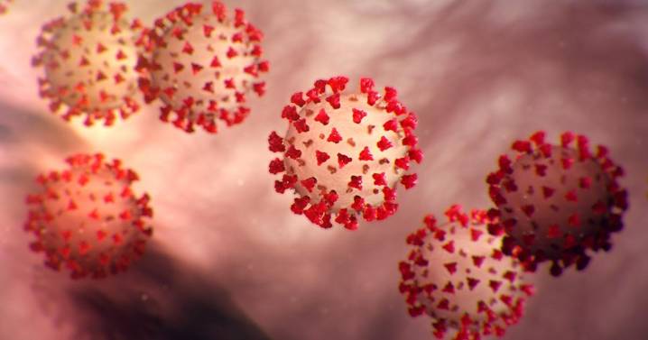 Wastewater data shows high levels of COVID