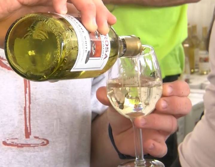 34th Annual Harvest Wine and Music Festival at Balloon Fiesta Park
