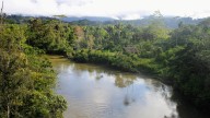 Ancient shells and pottery reveal the vast 3,200-years-old trade routes of Oceania’s Indigenous peoples