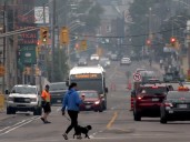 Kingston to work on enhanced hot weather response plan