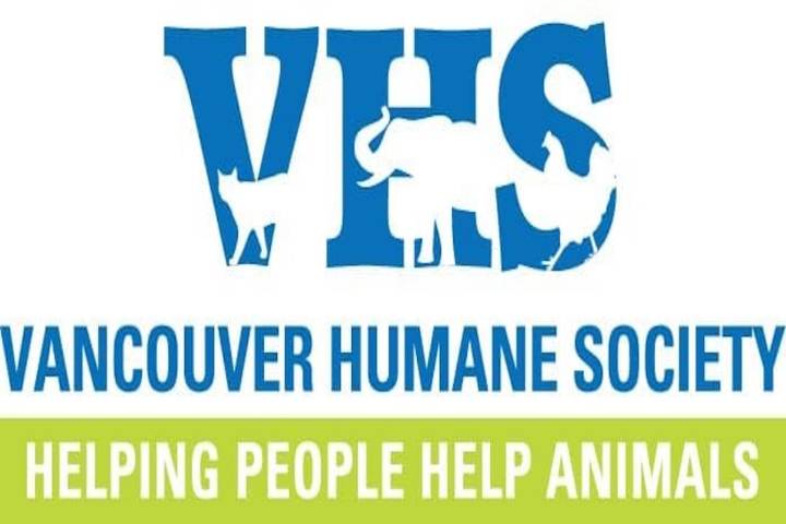 Second animal cruelty complaint filed over Vancouver Island rodeo event