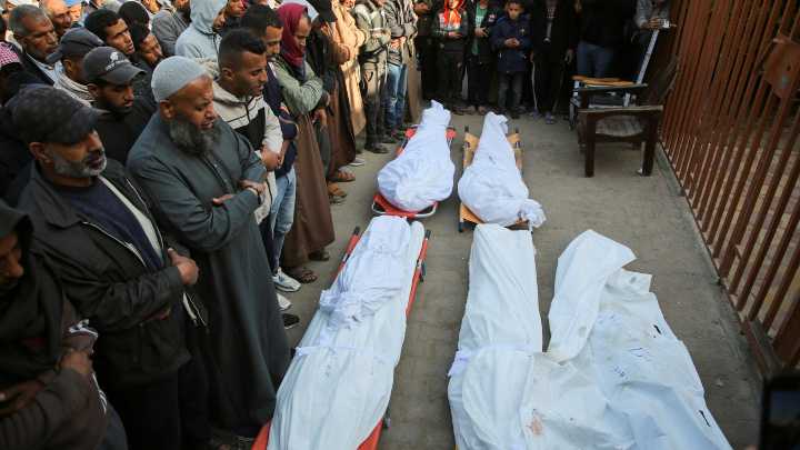 Los civiles, los más afectados por la guerra: representan el 83% de las muertes en Gaza