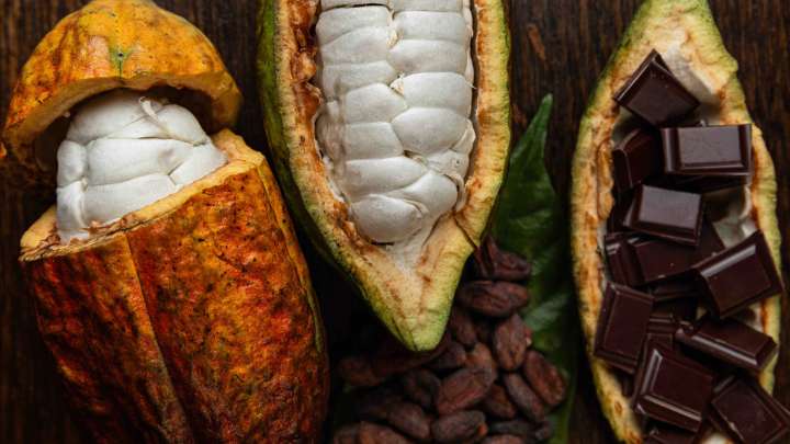 British researches discover chemical process to 'create the perfect chocolate'
