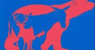 You'll have above-average IQ if you can spot all the animals hidden in this brainteaser