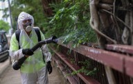 El chikunguña gana territorio a causa del calentamiento global