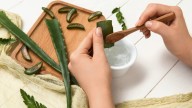 Usar aloe vera en la cara: qué beneficios tiene y cómo hacerlo correctamente