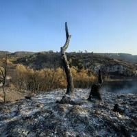 Massive French wildfire contained but 'not under control'