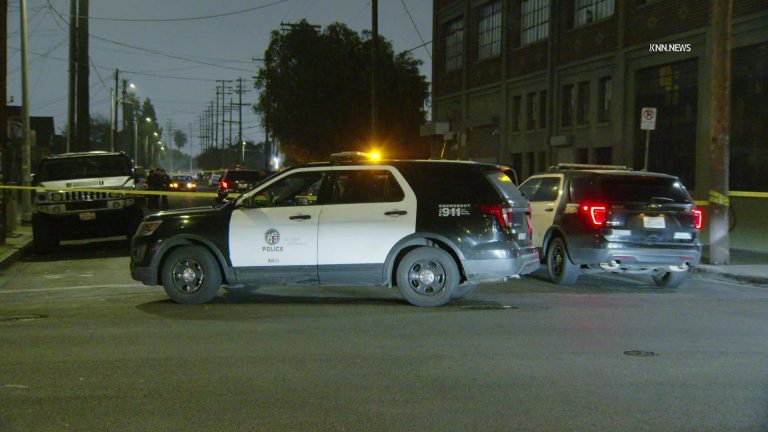 Woman shot to death in South LA