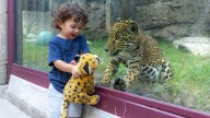 San Antonio Zoo Gives Free Tickets to Flood
