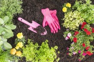 The Best Flowers and Plants to Put in the Ground This September for a Lush Garden Next Spring