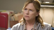 The Grey's Anatomy Role You Forgot Weapons Star Amy Madigan Played