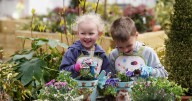 Young and old can get along to Dobbies in Livingston and discover the joys of gardening