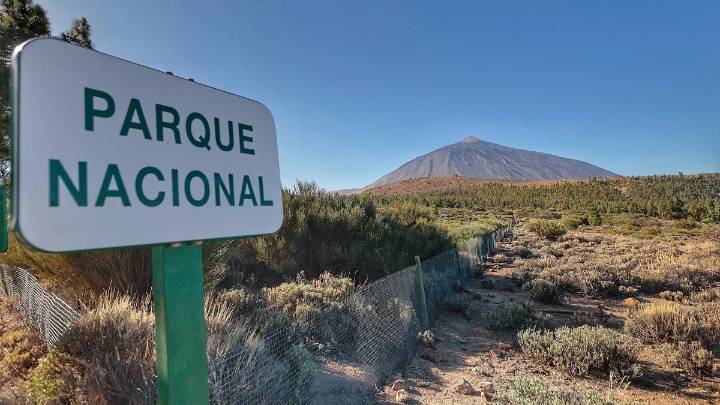 Registran un enjambre sísmico en el Teide con más de 90 terremotos de muy baja magnitud