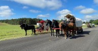 'STILL HORSING AROUND:' Retracing family history with a wagon