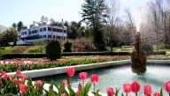 Here's the best garden in Massachusetts, according to HGTV