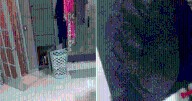 'Camouflaged' Goldendoodle Leaves Owner Tripping and Has Viewers In Hysterics