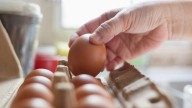 Multi-State Salmonella Outbreak Has Sickened Nearly 100 People This Year