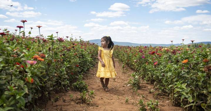 Festival with flowers, butterflies marks end of summer