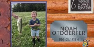 John's Big Ol' Fish: Sunday, August 31