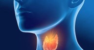 Comer para vivir: ¿Qué parte del cuerpo afecta más el hipotiroidismo?
