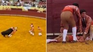 Video: un joven torero murió en su debut tras ser corneado por un toro de casi 700 kilos