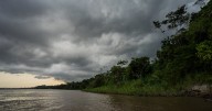 Alarm Over Latest Sighting of Remote Amazon Tribe