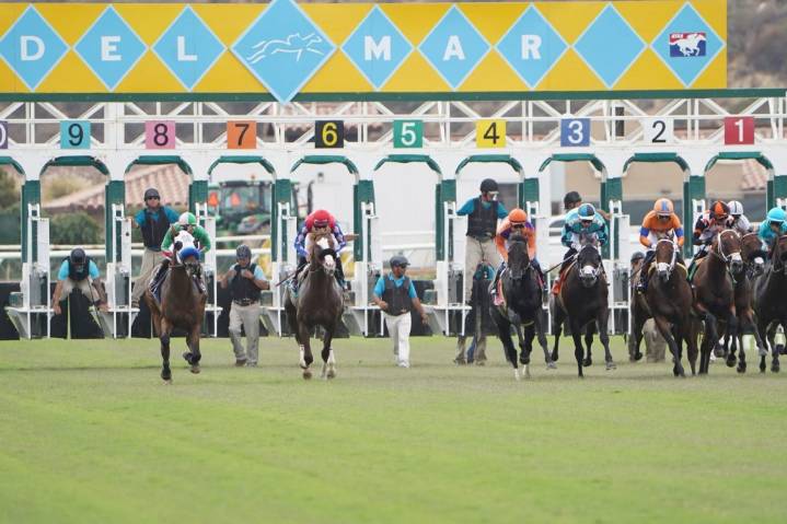 Horse racing: Standings and stakes schedules