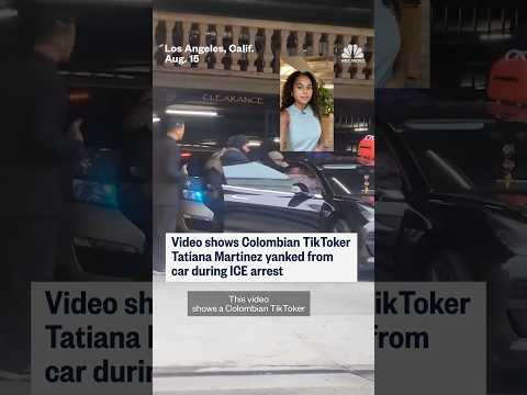 Video shows Colombian TikToker Tatiana Martinez yanked from car during ICE arrest