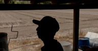 Some Florida farmers reduce crops as deportation fears drive workers away