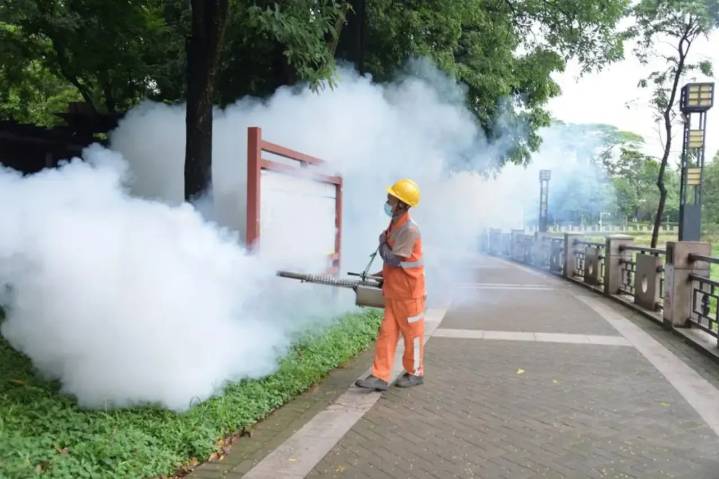 Nueva enfermedad se propaga en China: qué saber sobre el virus chikungunya