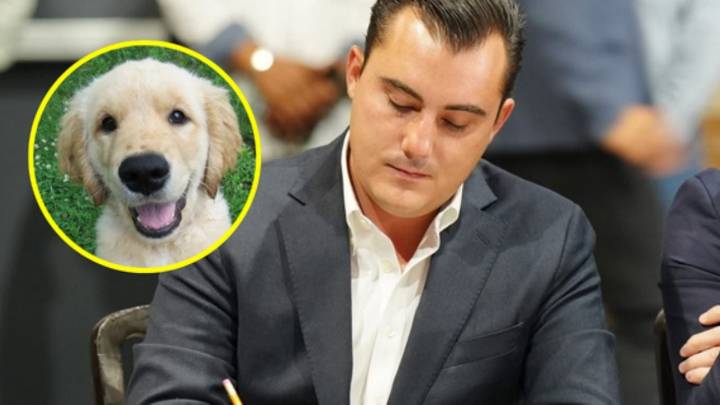 Eliminan en García la palabra 'perrera' para procurar el cuidado animal