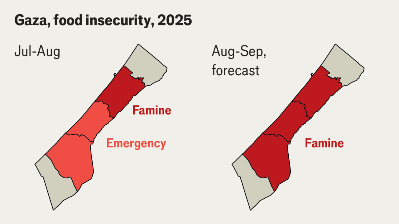 The evolution of famine in Gaza, in maps and charts