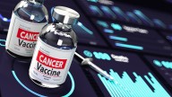 Vaccine for Pancreatic Cancer and CRC Sparks Early Hope
