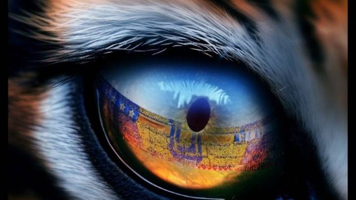 Tigres se inspiran en el himno de Rayados: 'Que sepan que salimos a ganar' ante Puebla