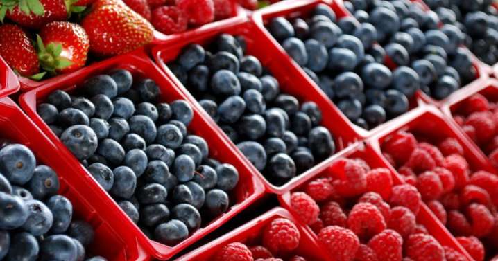 Exportaciones agrícolas de Moquegua aún no superan los 8,2 millones de dólares
